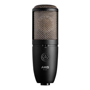 P420 - Black - High-performance dual-capsule true condenser microphone - Hero